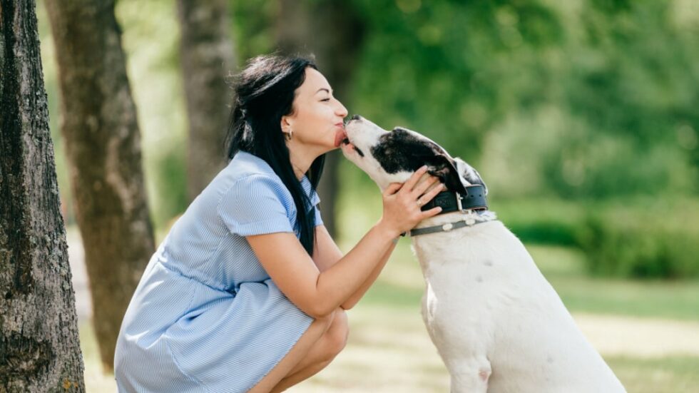 Warum leckt mein Hund mich ab? Gründe und der richtige Umgang