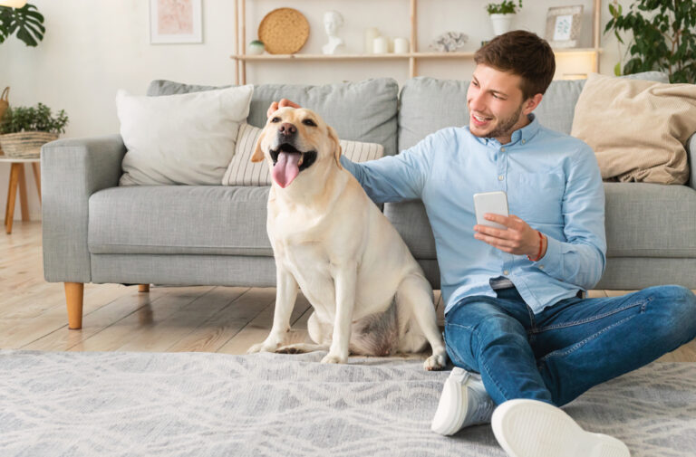Hundetraining mit Smartphone im Wohnzimmer