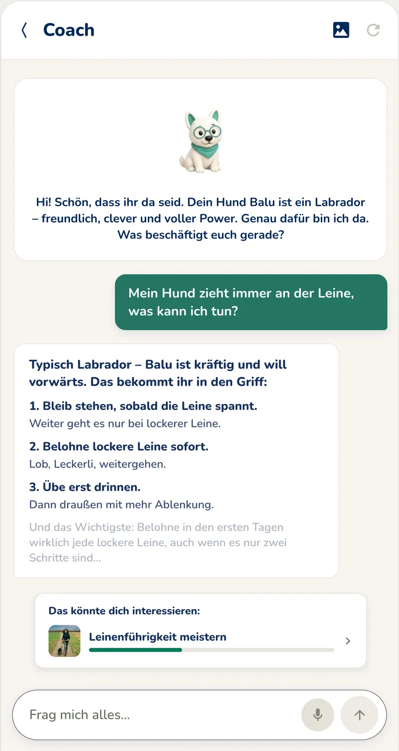 Hundeo Coach mit einer Trainingsfrage zur Leinenführigkeit